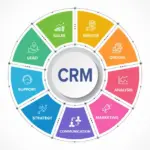CRM and Marketing: Synergies Revolutionizing Business in the U.S.